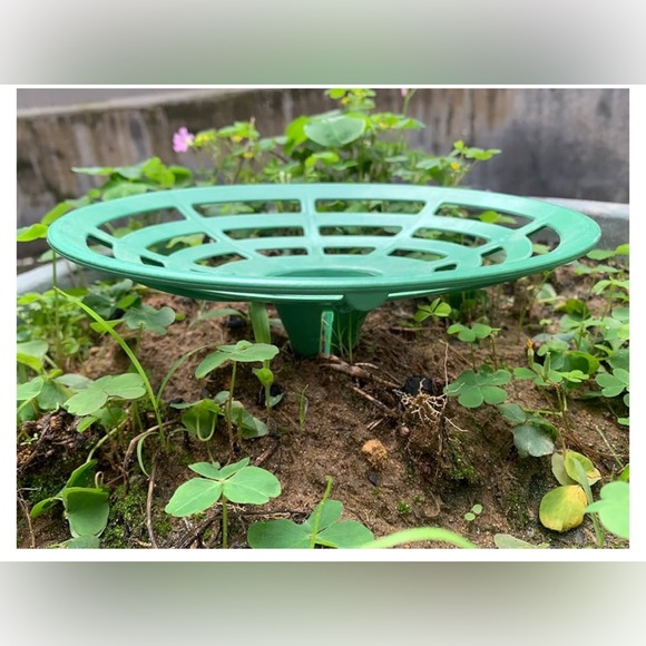 Green Garden Plant Support Rings 8Pcs - Picture 3 of 6